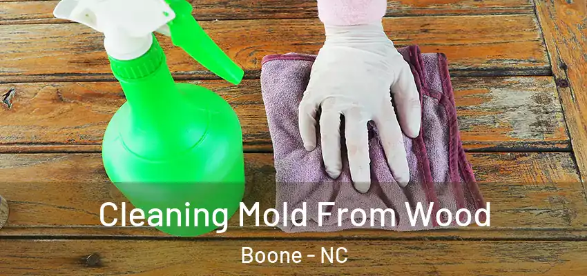  Cleaning Mold From Wood Boone - NC