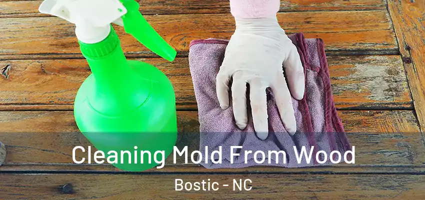 Cleaning Mold From Wood Bostic - NC