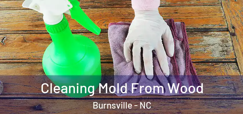  Cleaning Mold From Wood Burnsville - NC