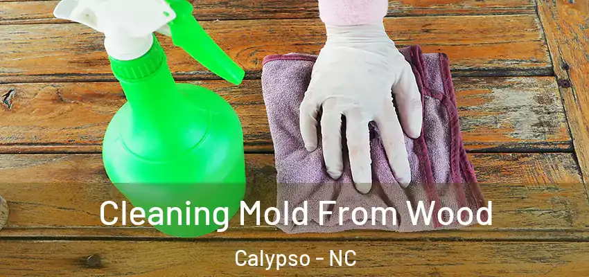  Cleaning Mold From Wood Calypso - NC