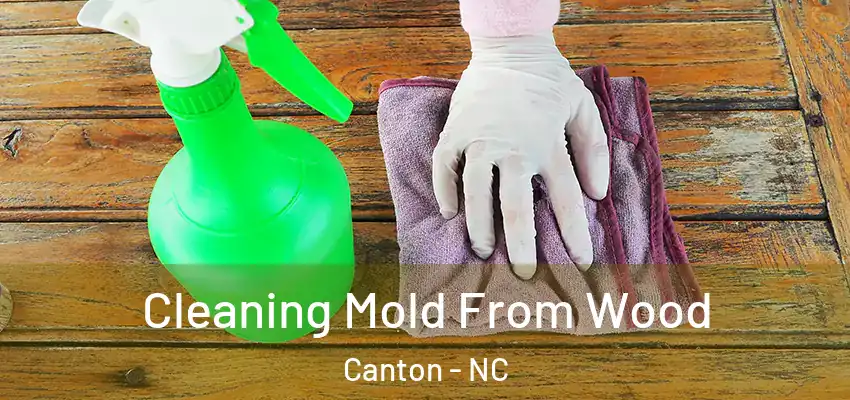 Cleaning Mold From Wood Canton - NC