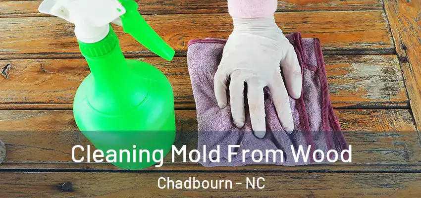  Cleaning Mold From Wood Chadbourn - NC