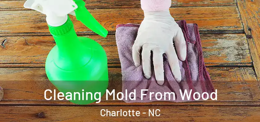  Cleaning Mold From Wood Charlotte - NC