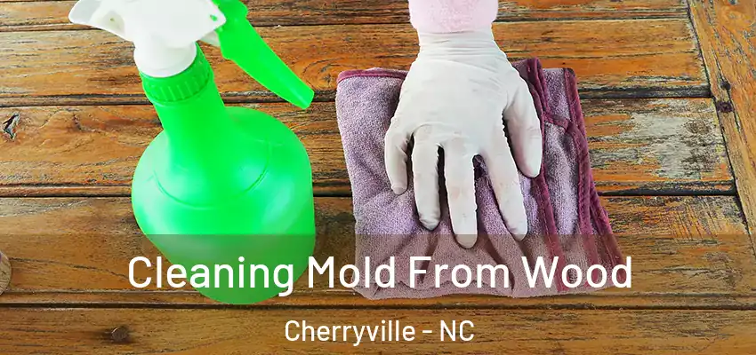 Cleaning Mold From Wood Cherryville - NC