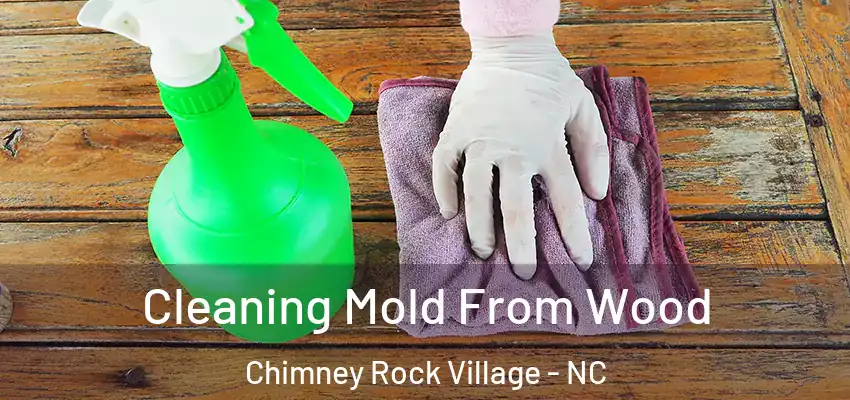  Cleaning Mold From Wood Chimney Rock Village - NC