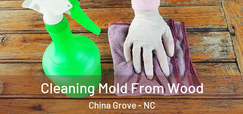  Cleaning Mold From Wood China Grove - NC
