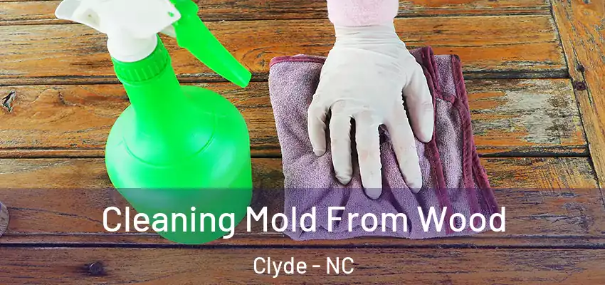  Cleaning Mold From Wood Clyde - NC