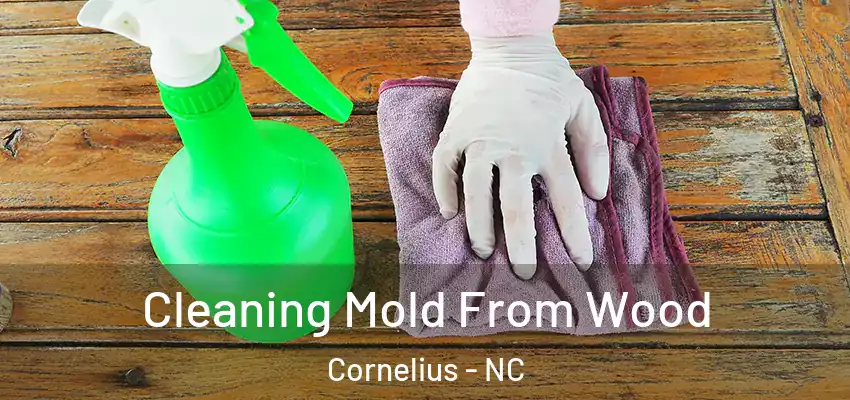  Cleaning Mold From Wood Cornelius - NC