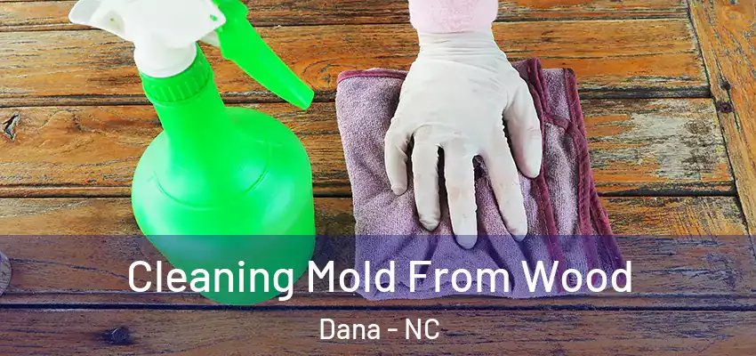  Cleaning Mold From Wood Dana - NC