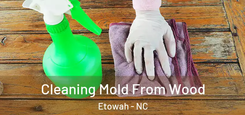  Cleaning Mold From Wood Etowah - NC