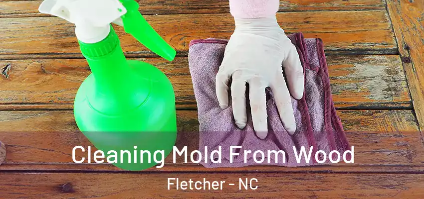  Cleaning Mold From Wood Fletcher - NC