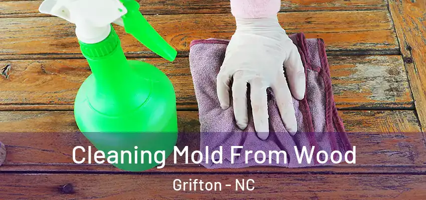 Cleaning Mold From Wood Grifton - NC