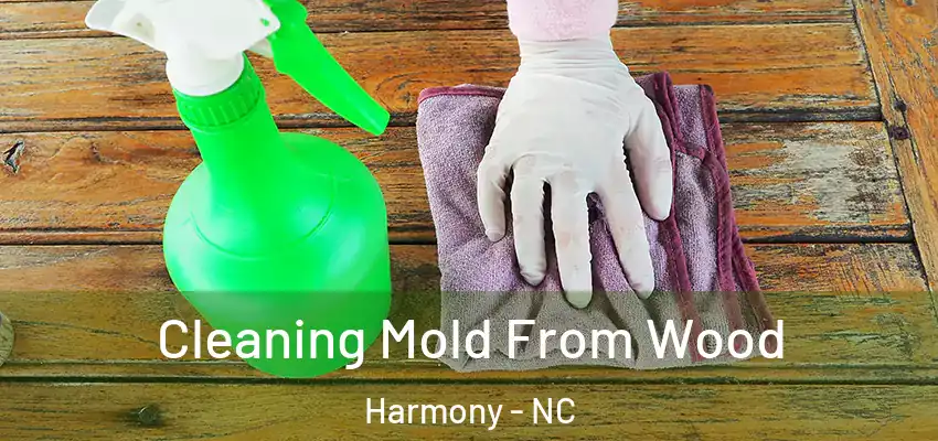 Cleaning Mold From Wood Harmony - NC
