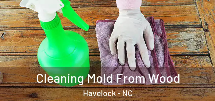Cleaning Mold From Wood Havelock - NC