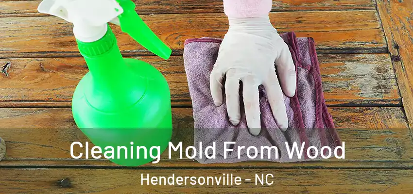 Cleaning Mold From Wood Hendersonville - NC