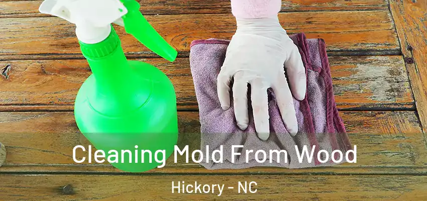 Cleaning Mold From Wood Hickory - NC