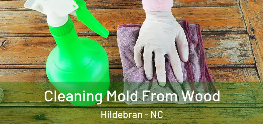  Cleaning Mold From Wood Hildebran - NC