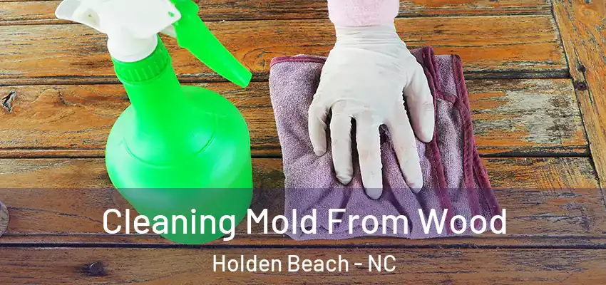 Cleaning Mold From Wood Holden Beach - NC