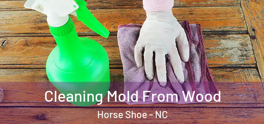 Cleaning Mold From Wood Horse Shoe - NC