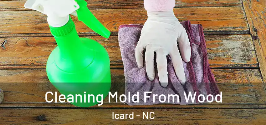 Cleaning Mold From Wood Icard - NC