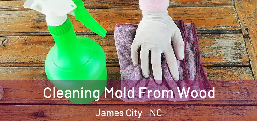  Cleaning Mold From Wood James City - NC