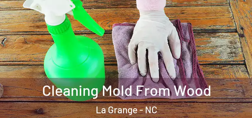  Cleaning Mold From Wood La Grange - NC