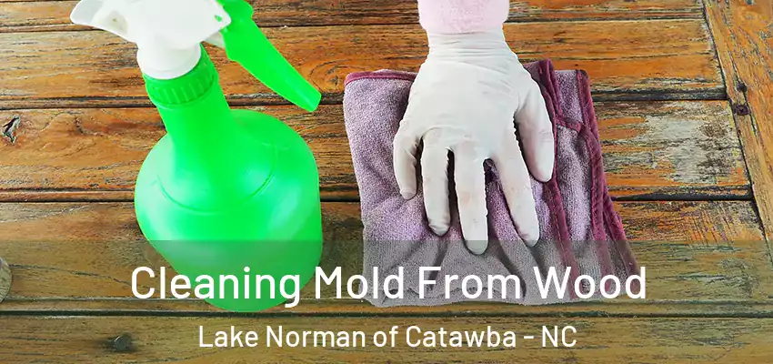  Cleaning Mold From Wood Lake Norman of Catawba - NC