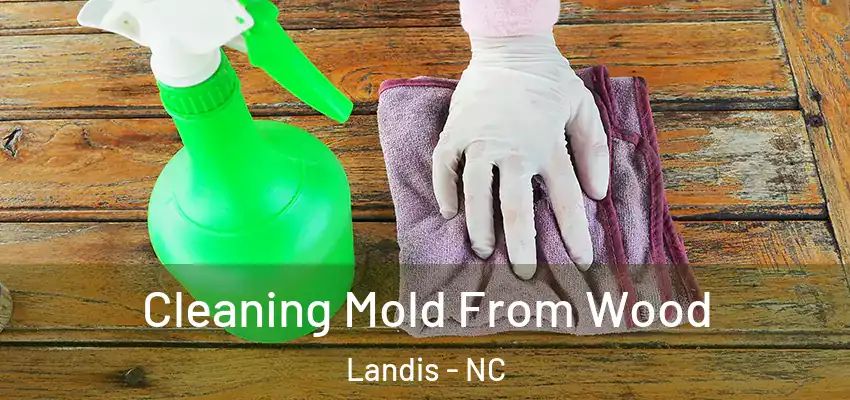 Cleaning Mold From Wood Landis - NC