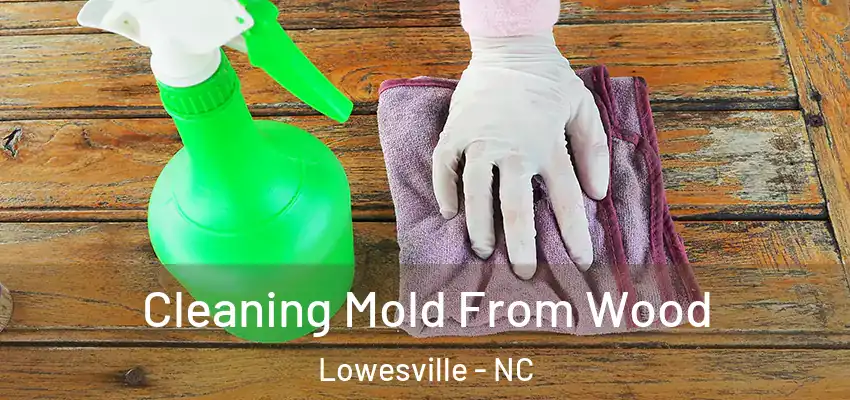 Cleaning Mold From Wood Lowesville - NC