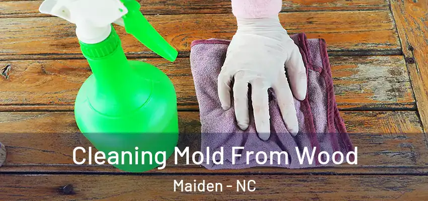 Cleaning Mold From Wood Maiden - NC