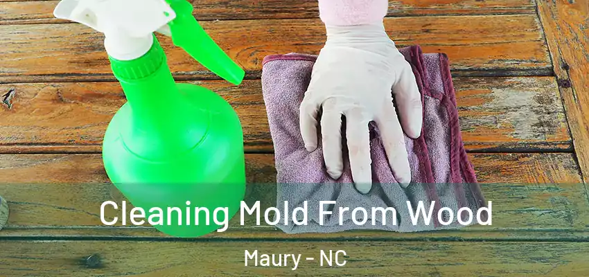  Cleaning Mold From Wood Maury - NC