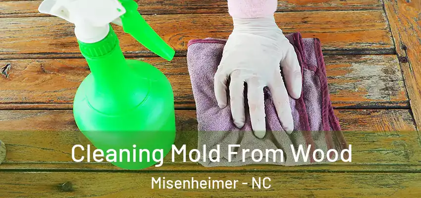  Cleaning Mold From Wood Misenheimer - NC