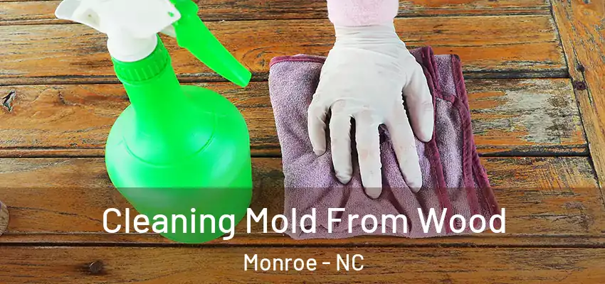 Cleaning Mold From Wood Monroe - NC