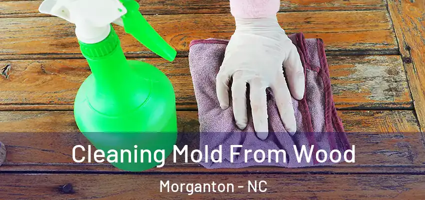  Cleaning Mold From Wood Morganton - NC