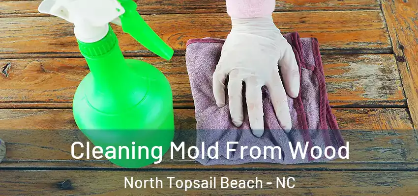  Cleaning Mold From Wood North Topsail Beach - NC