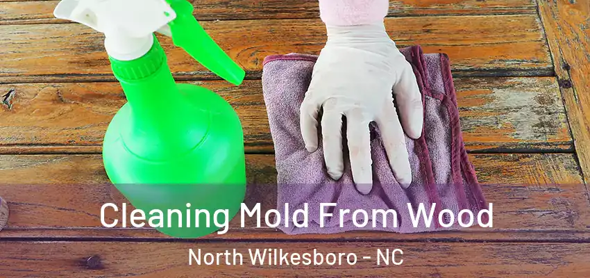  Cleaning Mold From Wood North Wilkesboro - NC