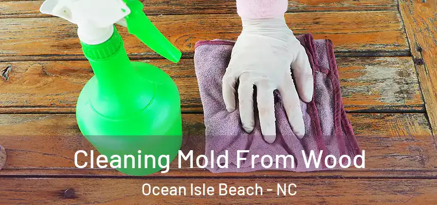 Cleaning Mold From Wood Ocean Isle Beach - NC