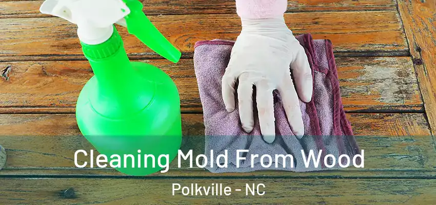 Cleaning Mold From Wood Polkville - NC