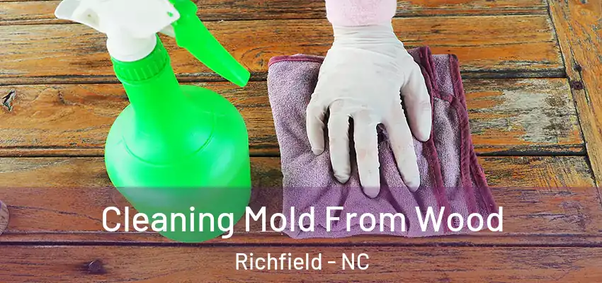 Cleaning Mold From Wood Richfield - NC