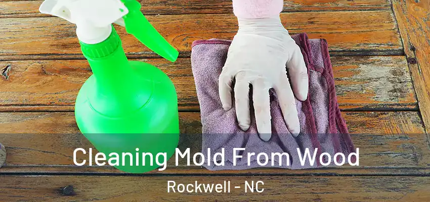 Cleaning Mold From Wood Rockwell - NC
