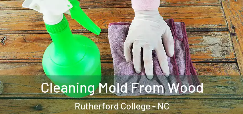 Cleaning Mold From Wood Rutherford College - NC