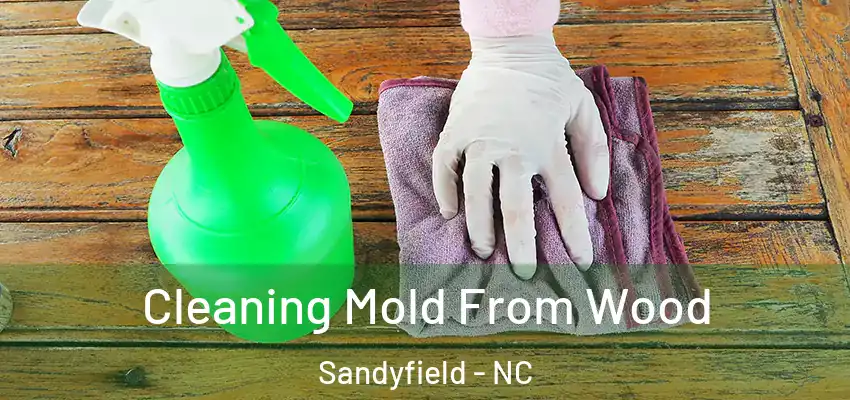 Cleaning Mold From Wood Sandyfield - NC