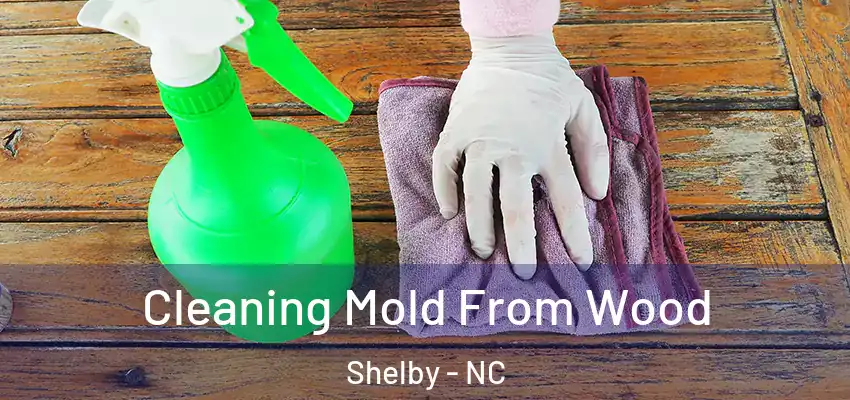  Cleaning Mold From Wood Shelby - NC