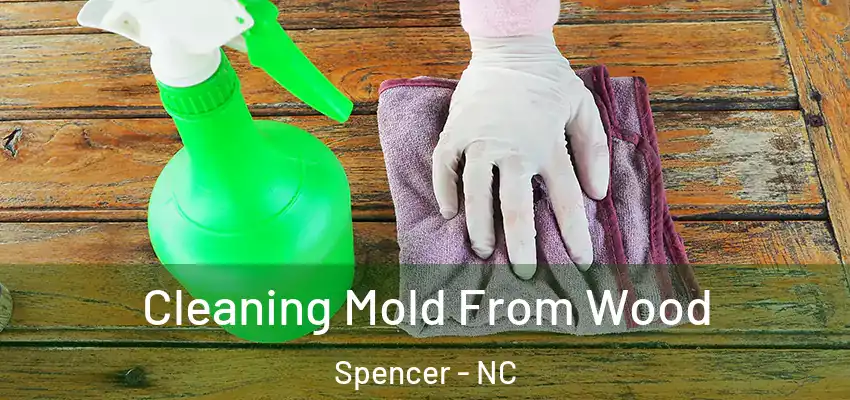 Cleaning Mold From Wood Spencer - NC