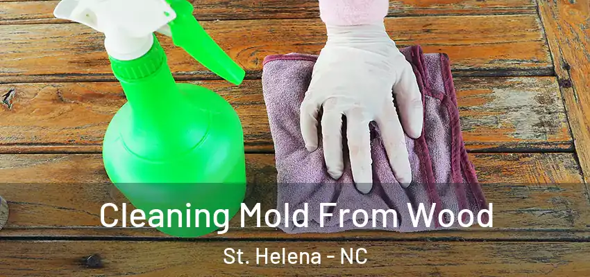 Cleaning Mold From Wood St. Helena - NC