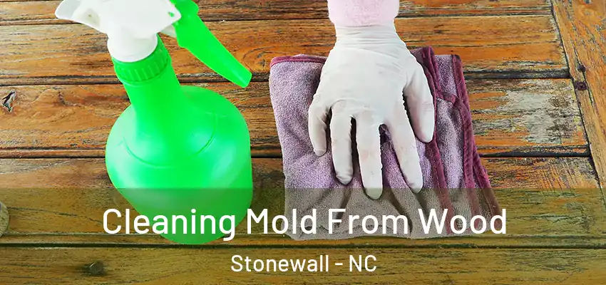 Cleaning Mold From Wood Stonewall - NC