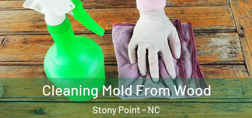  Cleaning Mold From Wood Stony Point - NC