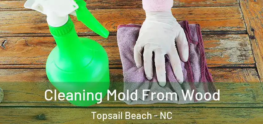  Cleaning Mold From Wood Topsail Beach - NC