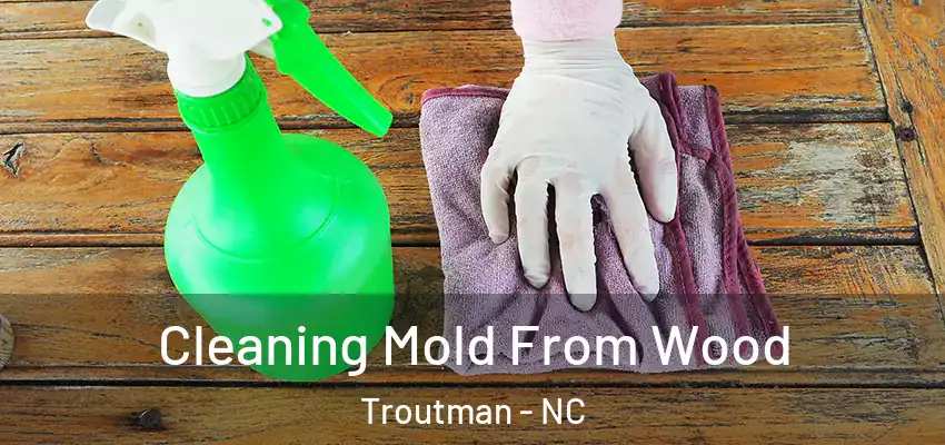Cleaning Mold From Wood Troutman - NC