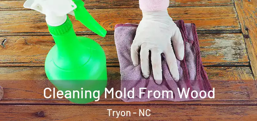  Cleaning Mold From Wood Tryon - NC